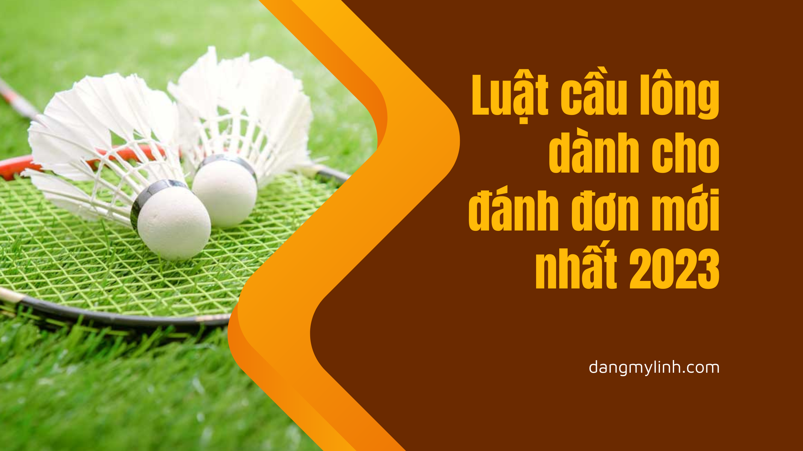 Luật cầu lông dành cho đánh đơn mới nhất tháng 6 năm 2023